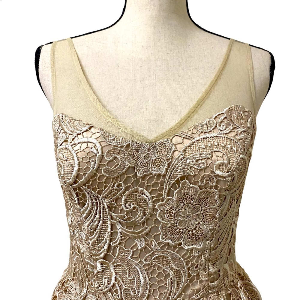 ADRIANNA PAPELL Lace Illusion Midi Size 4 - Picture 3 of 15
